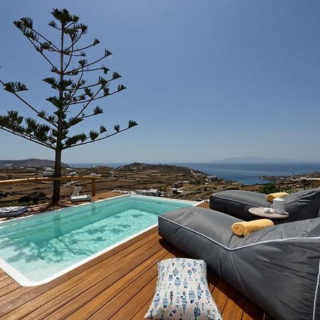 Agyra House Villa Super Paradise Beach  Exteriör bild