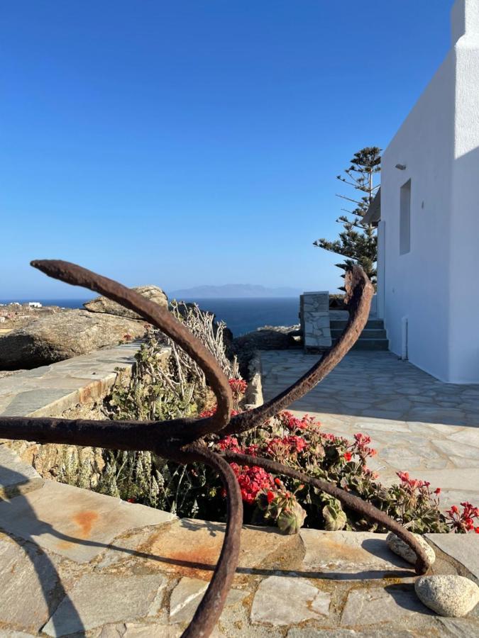 Agyra House Villa Super Paradise Beach  Exteriör bild